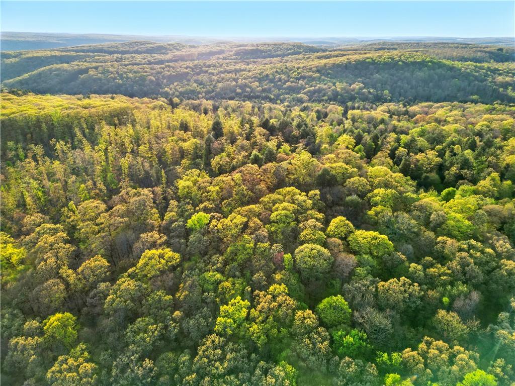500 Seneca Hemlock Road Kennerdell, PA 16374 - Photo 10 of 50 Gallery Image 10