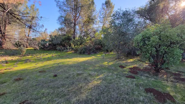 a view of a bird bath