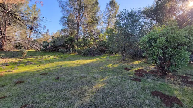 a view of a bird bath