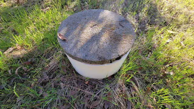 a view of yard with green space