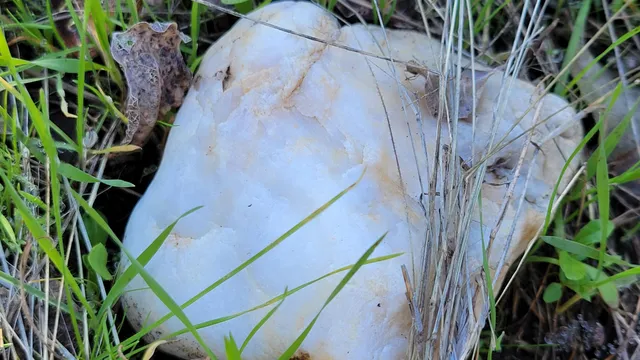 $119,000 | 0 Glenbo Lane, Anderson, CA 96007