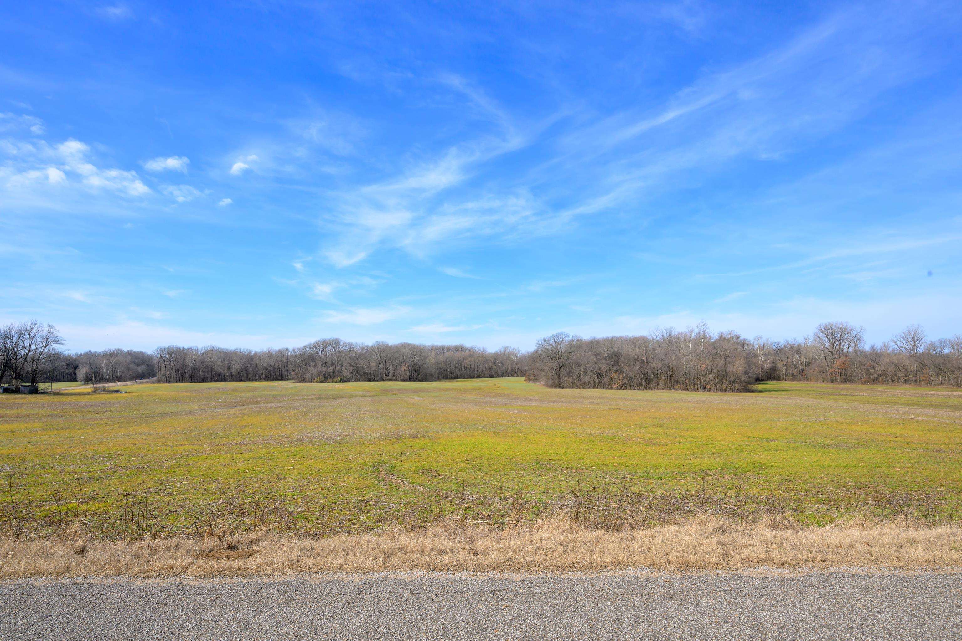 1 Montgomery Road Burlison, TN 38015 - Photo 1 of 16 Gallery Image 1