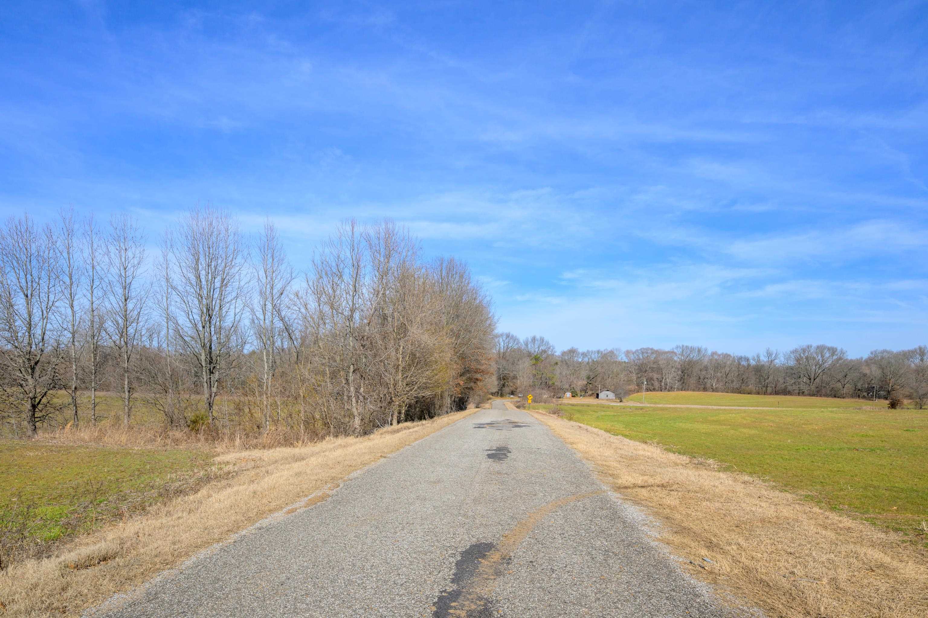 1 Montgomery Road Burlison, TN 38015 - Photo 3 of 16 Gallery Image 3