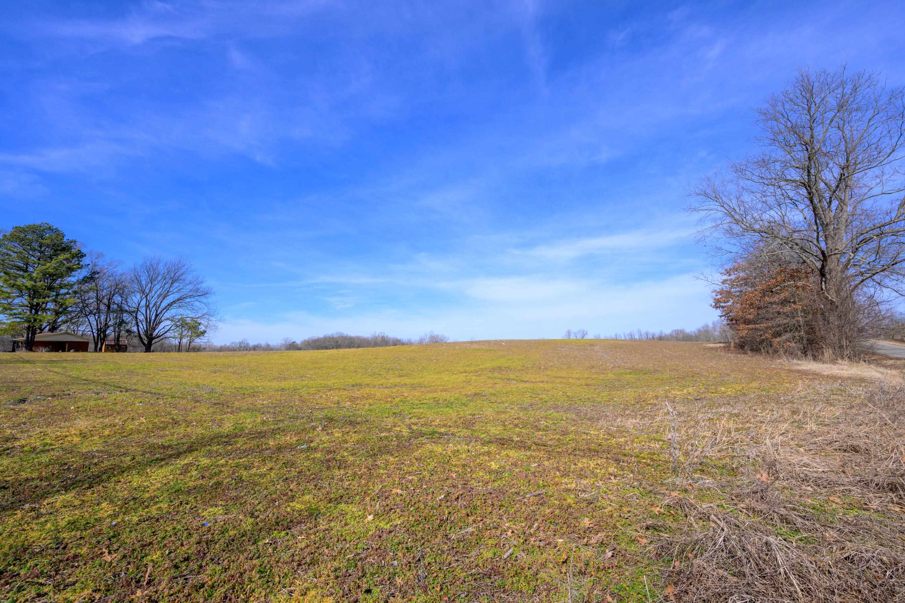 1 Montgomery Road Burlison, TN 38015 - Photo 4 of 16 Gallery Image 4