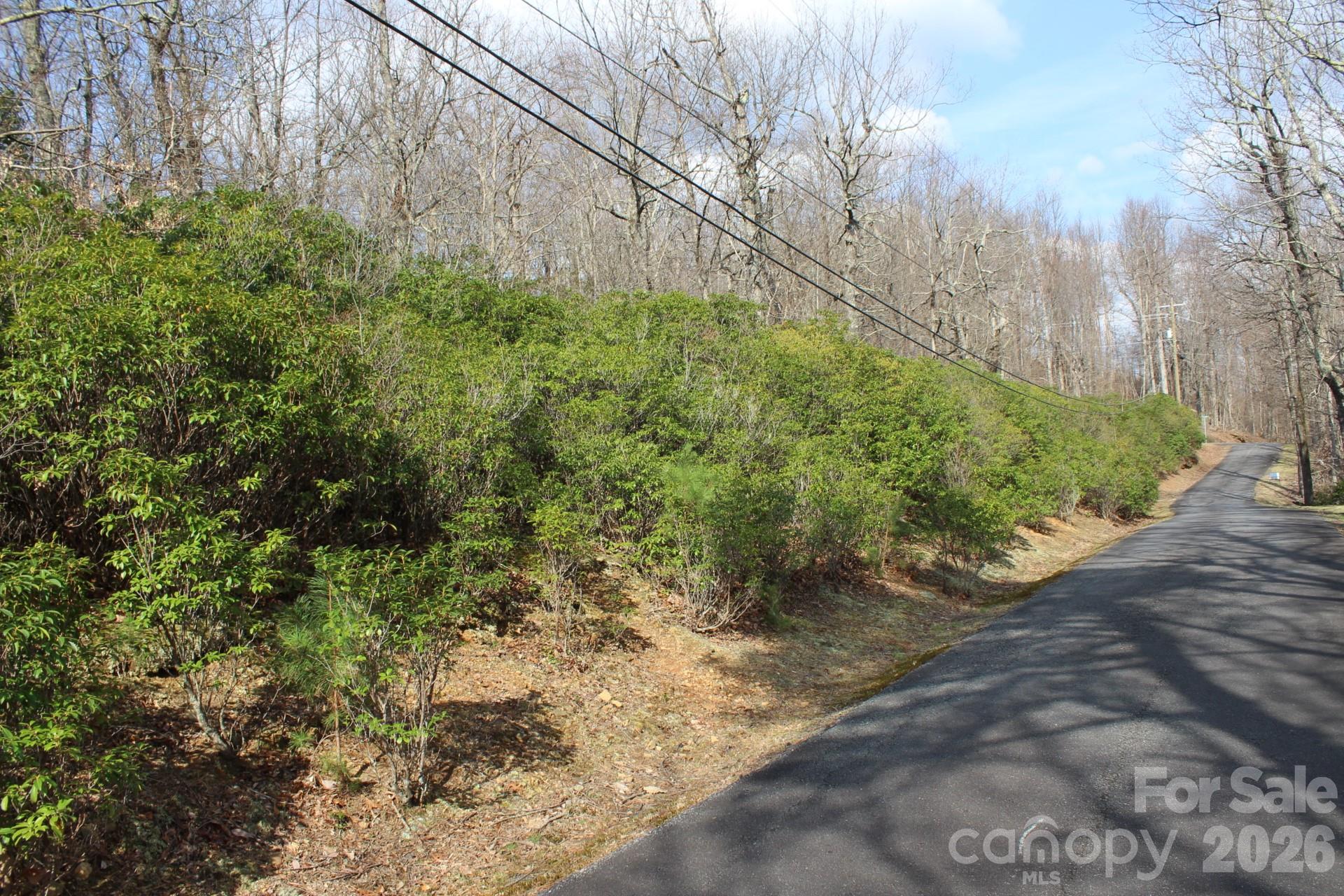 Lot 9 Sunset Ridge Drive, Unit 9 Tryon, NC 28782 - Photo 18 of 19 Gallery Image 18