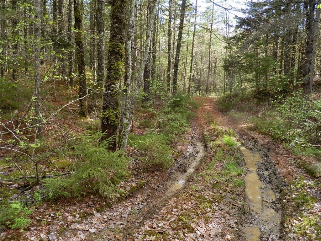 1426 Deer Haven Road Wesley, ME 04686 - Photo 12 of 24 Almost to the back corner on the...