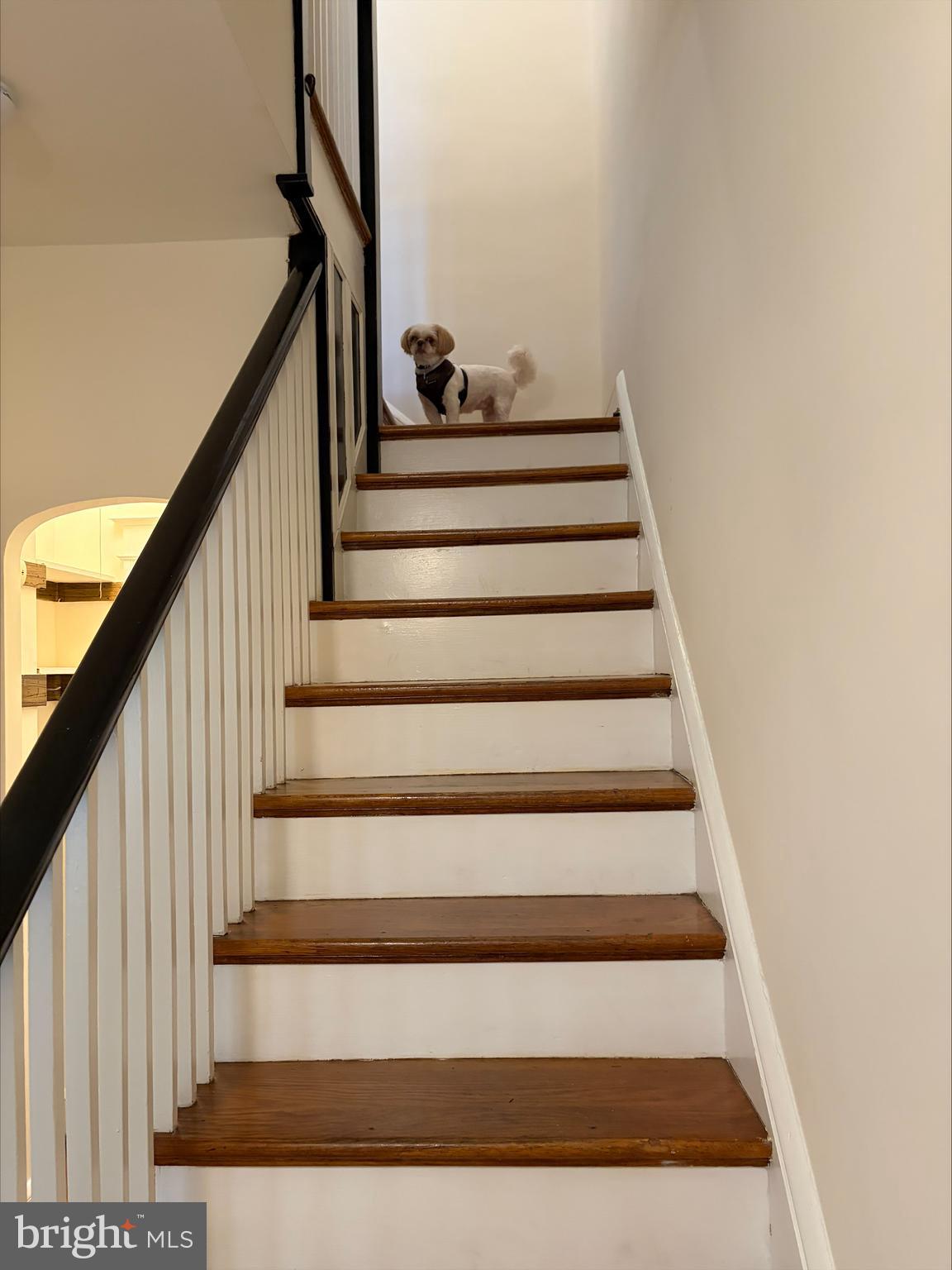 2218 Tunlaw Road Northwest Washington, DC 20007 - Photo 9 of 20 Staircase to second floor
