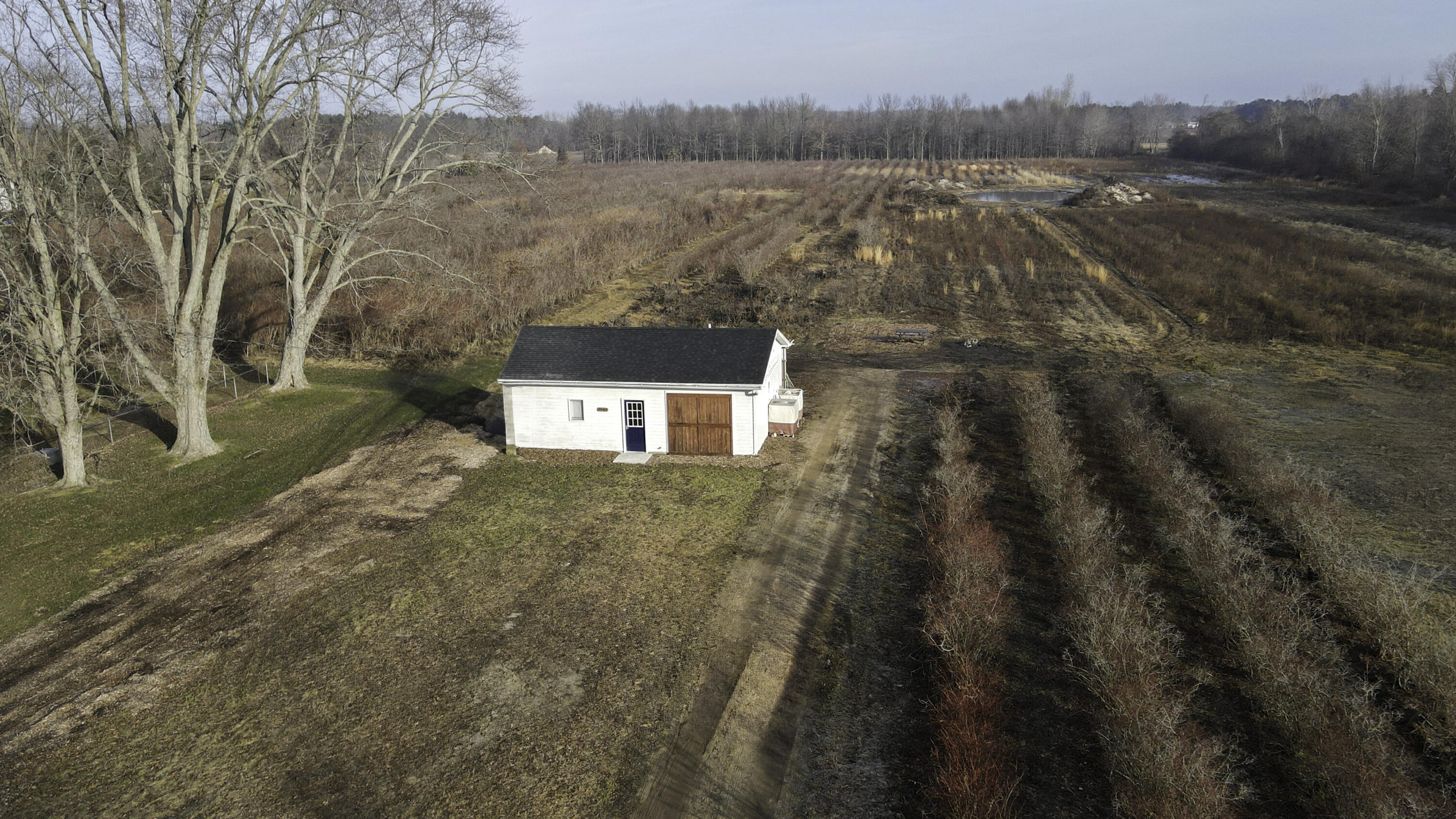 3843 Browntown Road Bridgman, MI 49106 - Photo 1 of 21 01