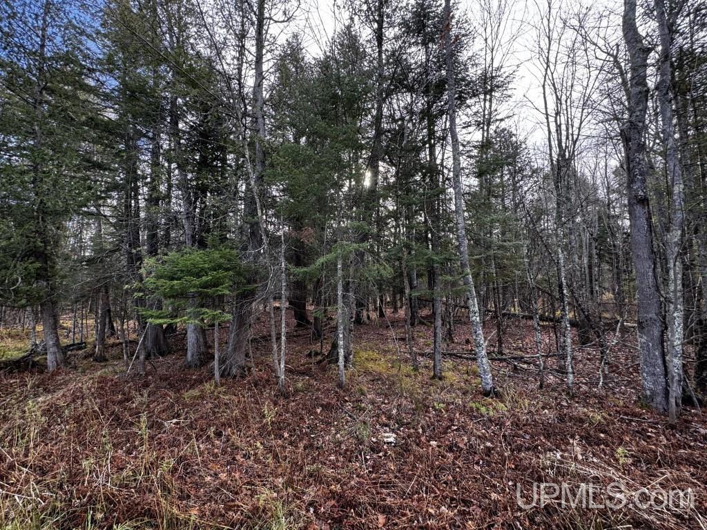 Tbd Skanee Road Skanee, MI 49962 - Photo 5 of 24 Gallery Image 5