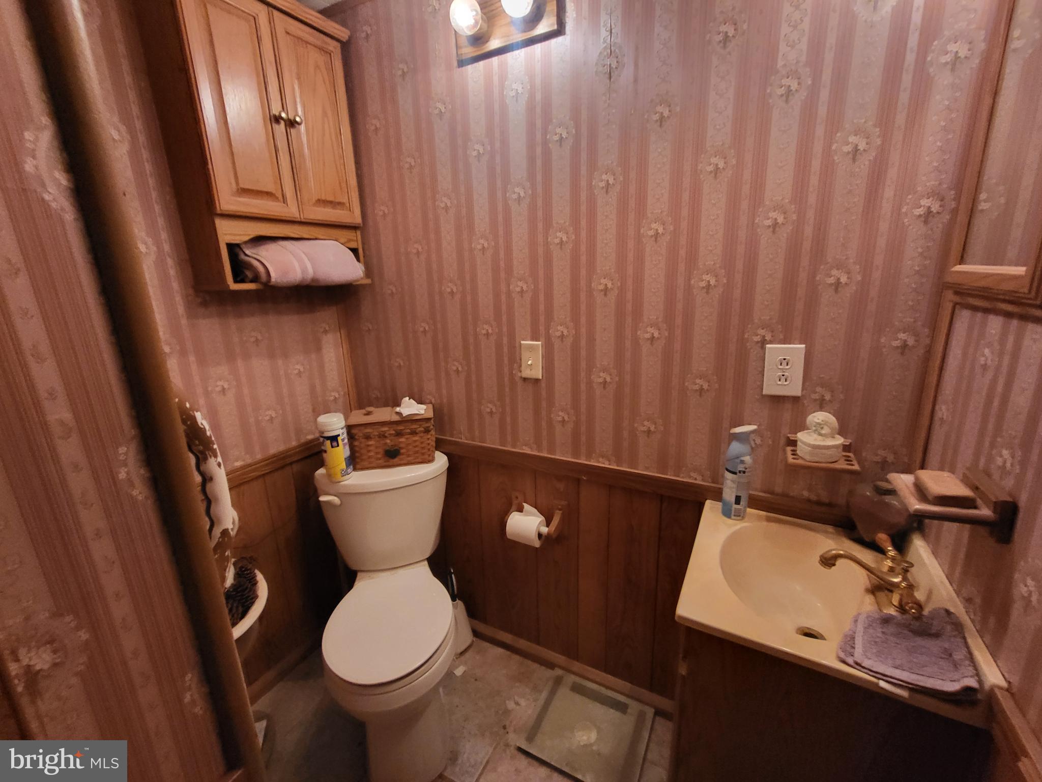 23570 Path Valley Road Doylesburg, PA 17219 - Photo 17 of 24 Lower level bath