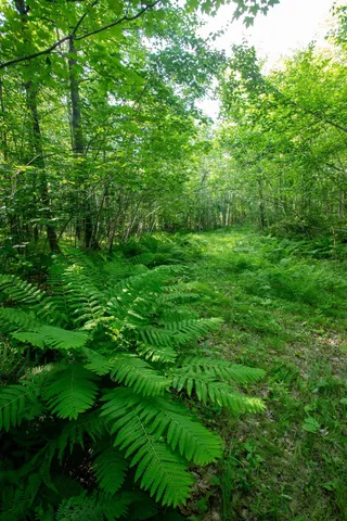 $70,000 | Xxxx Moonlight Drive, Carlton, MN 55718