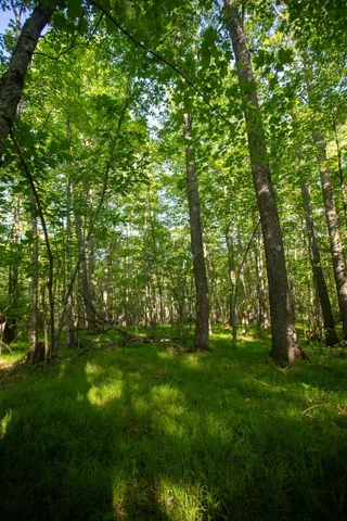 $70,000 | Xxxx Moonlight Drive, Carlton, MN 55718