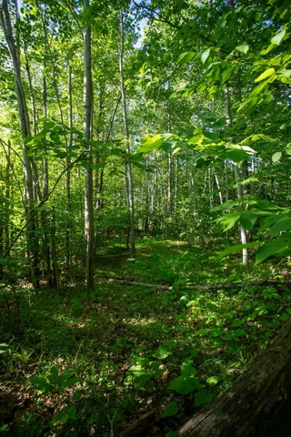 $70,000 | Xxxx Moonlight Drive, Carlton, MN 55718