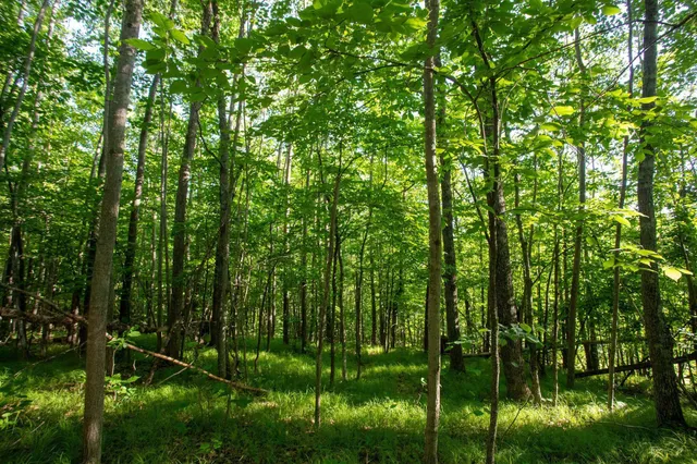 $70,000 | Xxxx Moonlight Drive, Carlton, MN 55718