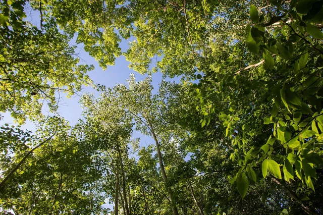 $70,000 | Xxxx Moonlight Drive, Carlton, MN 55718