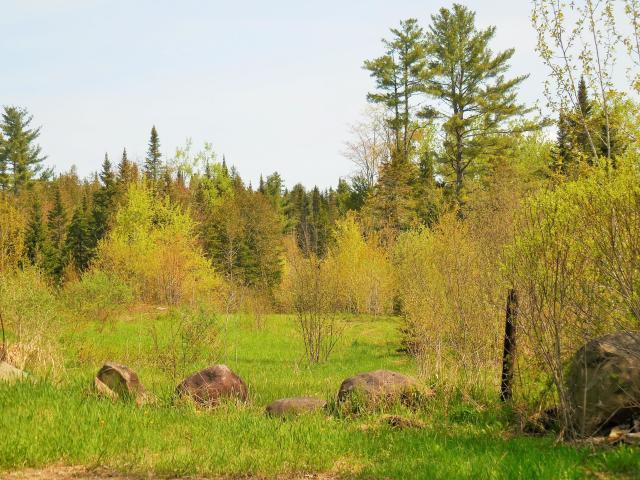 21 Silvers Mills Road Sangerville, ME 04479 - Photo 8 of 16 Silvers Mills 8