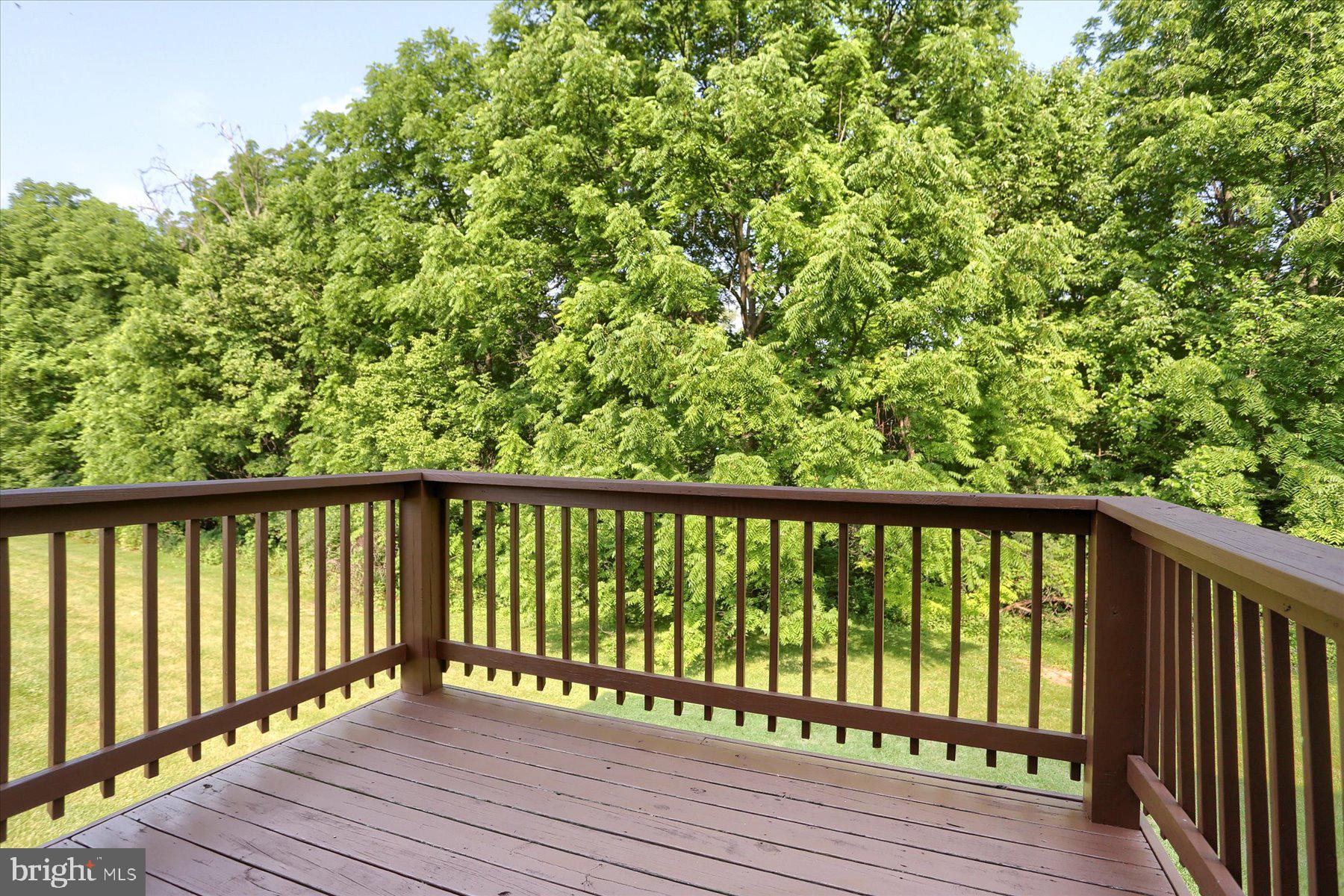 446 Mill Race Road Carlisle, PA 17013 - Photo 13 of 40 Rear Deck