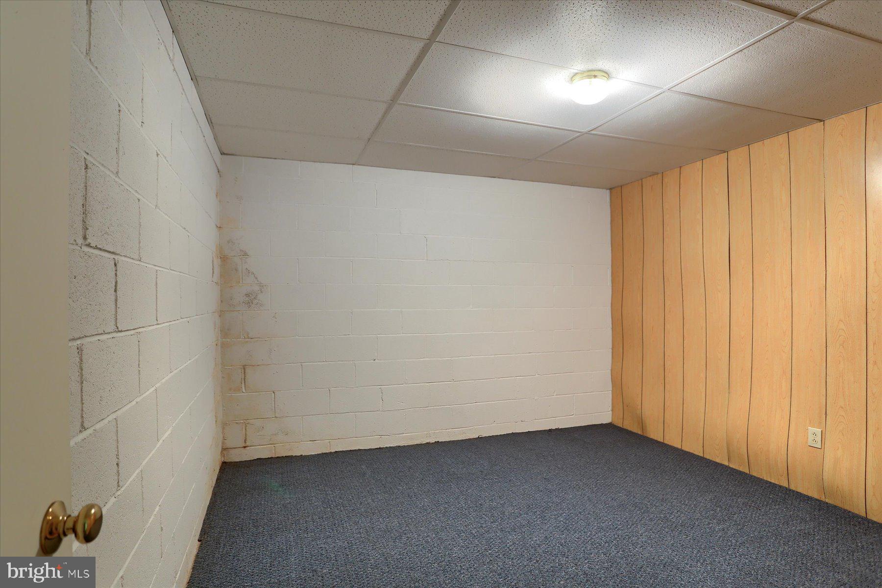 446 Mill Race Road Carlisle, PA 17013 - Photo 30 of 40 Bonus Space on Lower Level