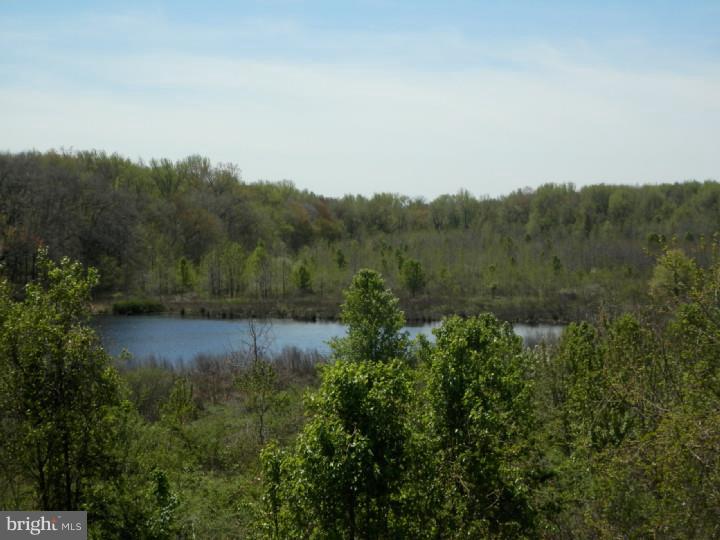19 Chapel Hill Road Mount Laurel, NJ 08054 - Photo 21 of 25 Gallery Image 21