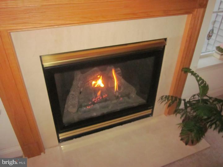 19 Chapel Hill Road Mount Laurel, NJ 08054 - Photo 10 of 25 Gallery Image 10