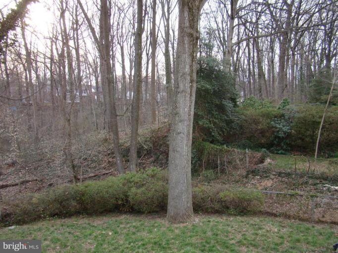 9232 Long Branch Parkway Silver Spring, MD 20901 - Photo 9 of 9 Back yard