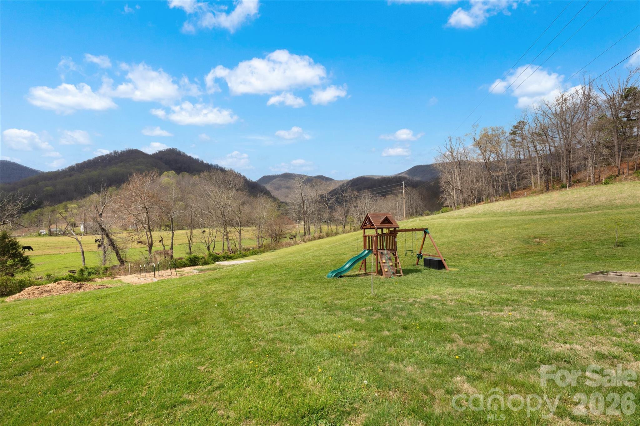 17 Boyd Cove Road Leicester, NC 28748 - Photo 33 of 40 a view of an outdoor space and yard