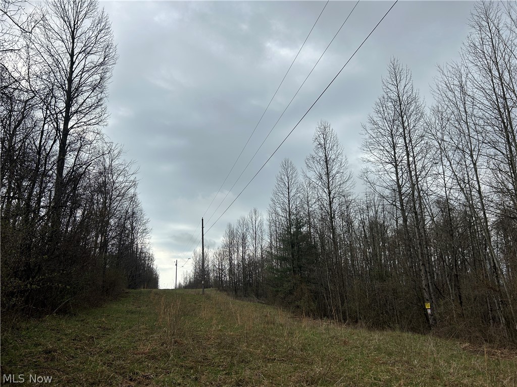 Wilbur Bush Road Crooksville, OH 43731 - Photo 10 of 19