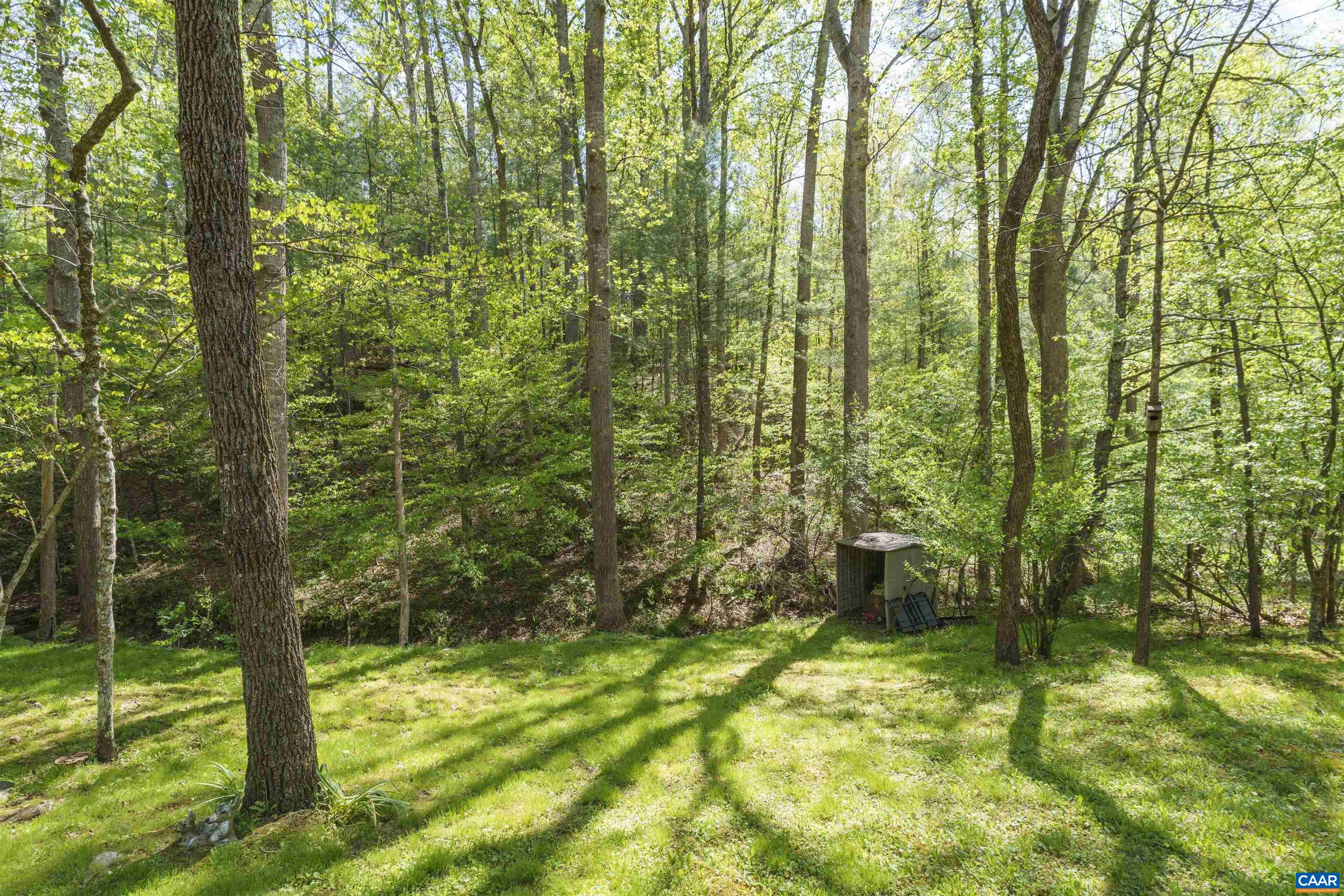 751 Jonquil Road Ruckersville, VA 22968 - Photo 8 of 35