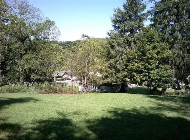 a view of a park with large trees