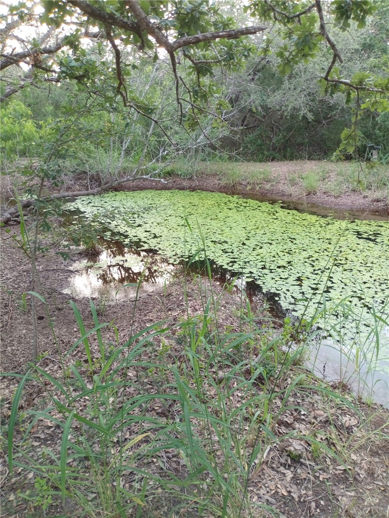 9213 Pvt 6005 Road Sinton, TX 78387 - Photo 3 of 24 two beautiful ponds on property!