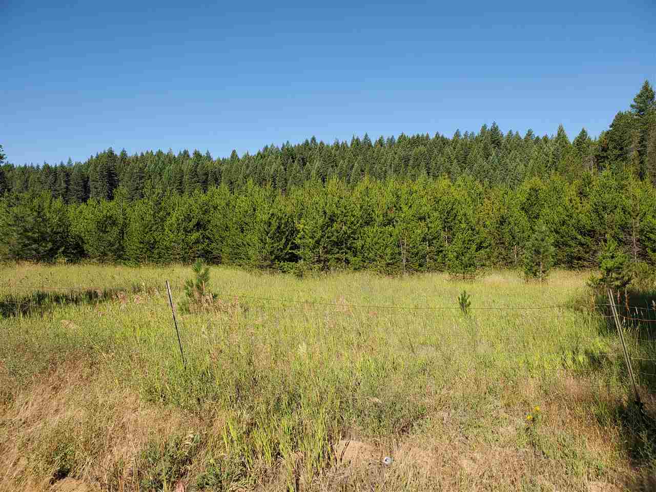 38-xx Spring Valley Road Newport, WA 99156 - Photo 2 of 28 Gallery Image 2