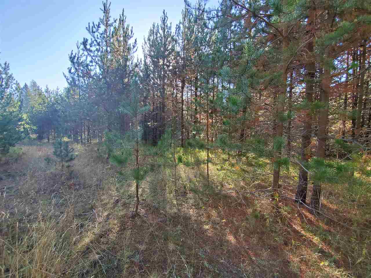 38-xx Spring Valley Road Newport, WA 99156 - Photo 11 of 28 Gallery Image 11