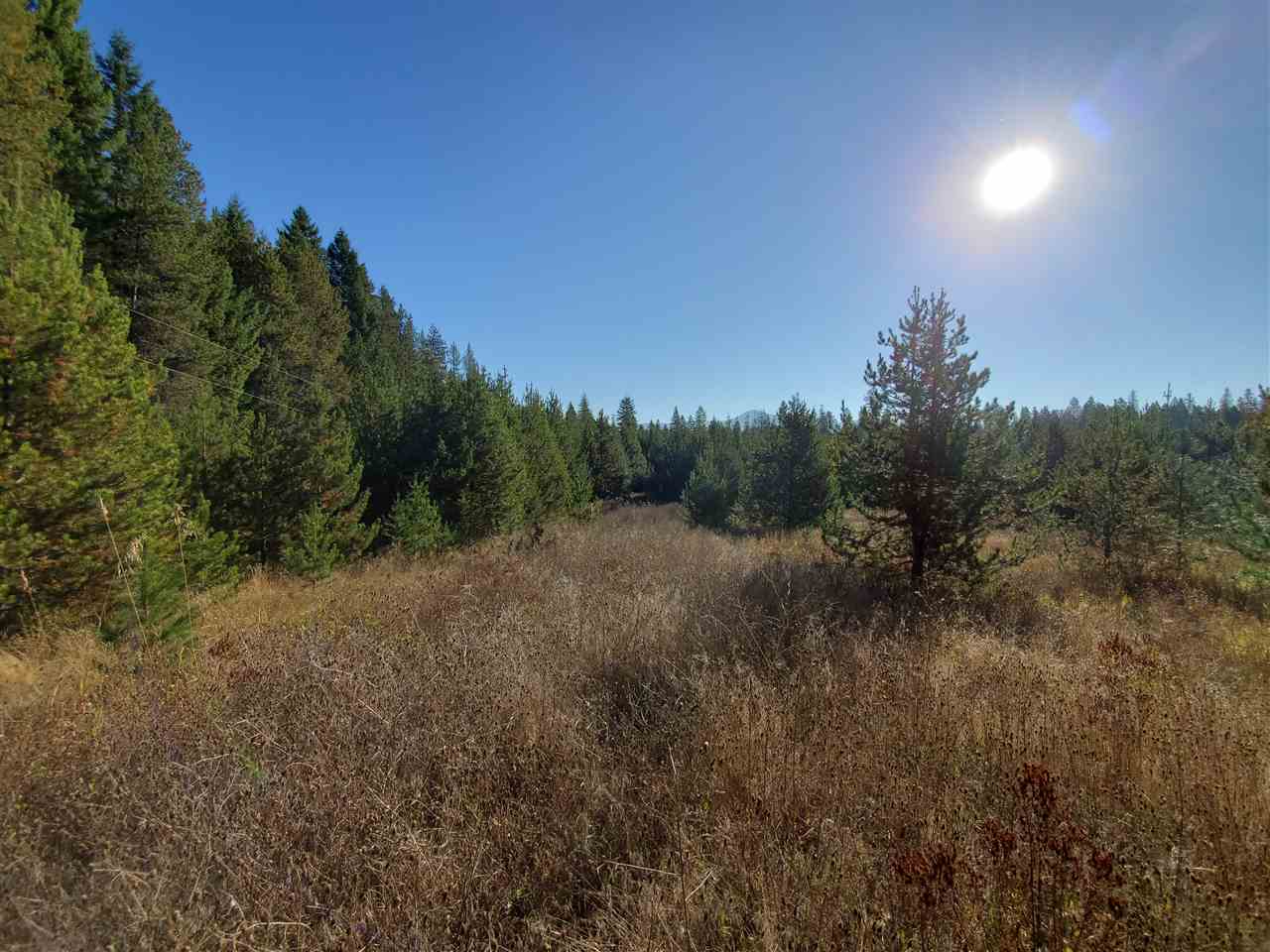 38-xx Spring Valley Road Newport, WA 99156 - Photo 13 of 28 Gallery Image 13