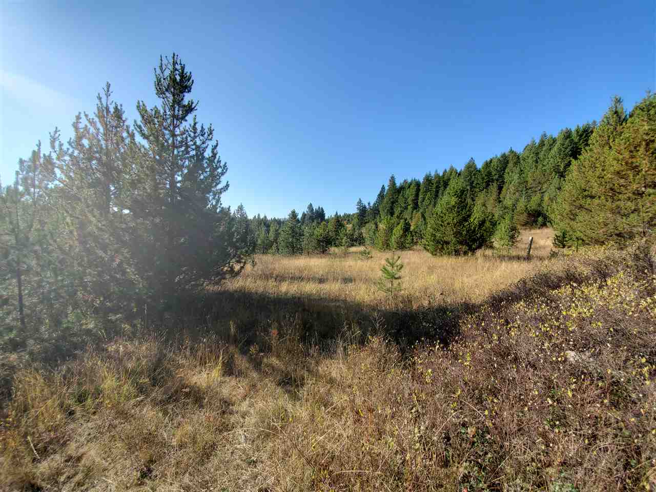 38-xx Spring Valley Road Newport, WA 99156 - Photo 14 of 28 Gallery Image 14