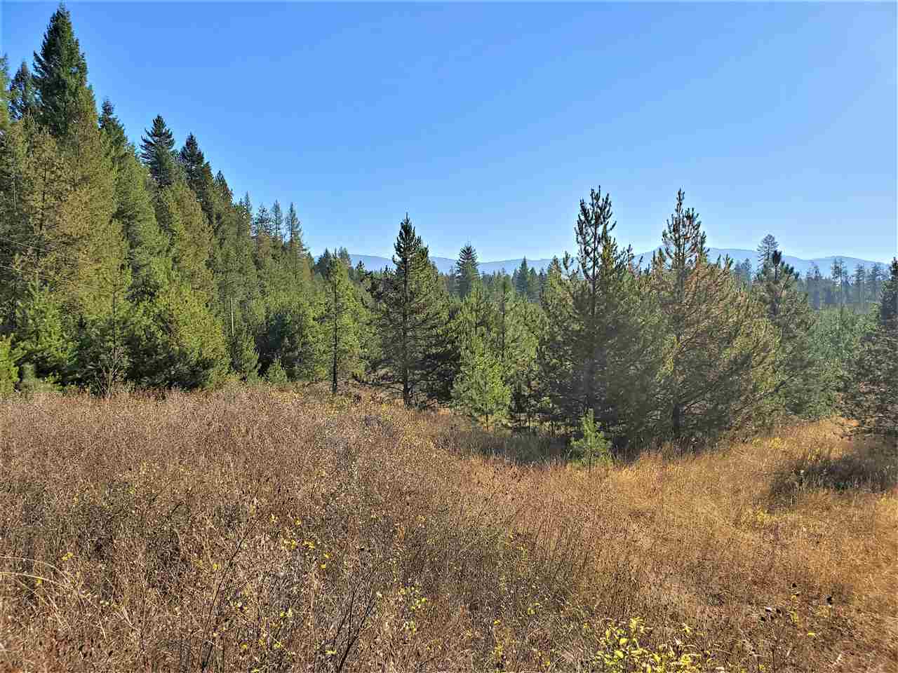 38-xx Spring Valley Road Newport, WA 99156 - Photo 15 of 28 Gallery Image 15