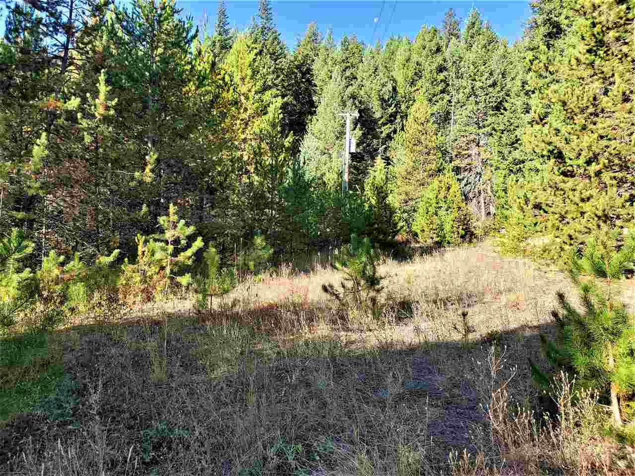 38-xx Spring Valley Road Newport, WA 99156 - Photo 16 of 28 Gallery Image 16
