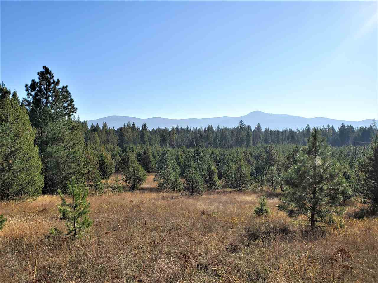 38-xx Spring Valley Road Newport, WA 99156 - Photo 17 of 28 Gallery Image 17