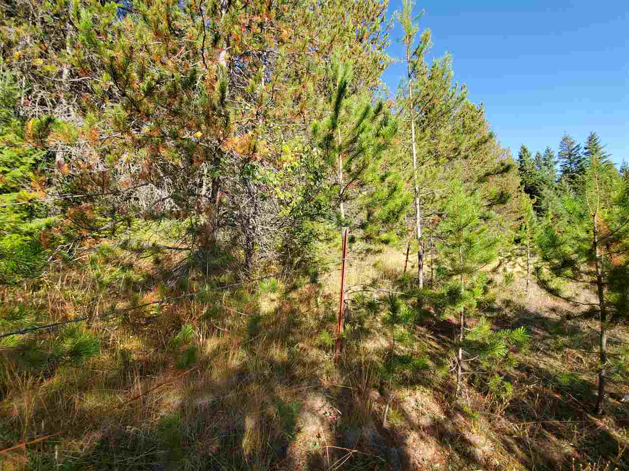 38-xx Spring Valley Road Newport, WA 99156 - Photo 18 of 28 Gallery Image 18