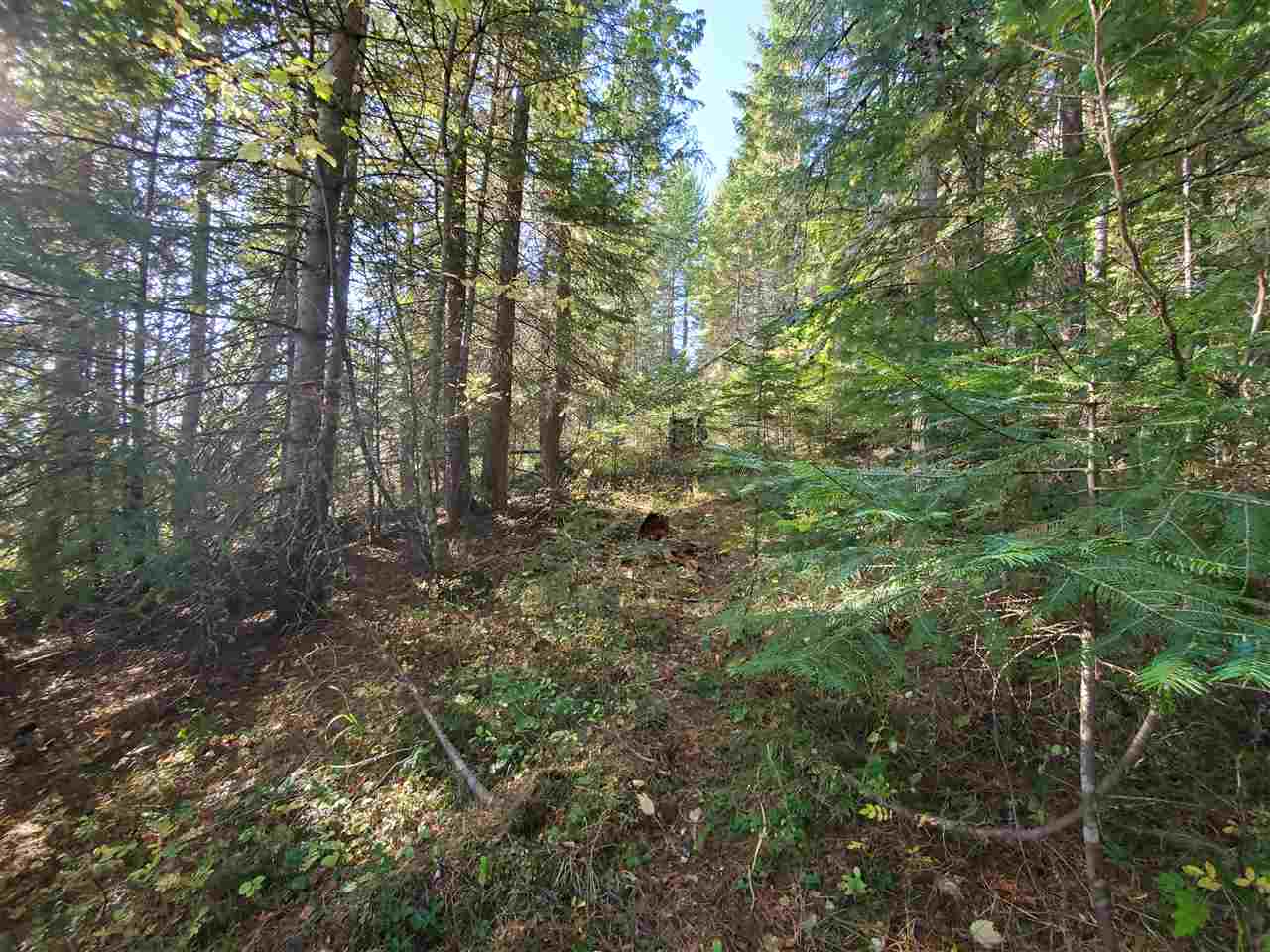 38-xx Spring Valley Road Newport, WA 99156 - Photo 19 of 28 Gallery Image 19