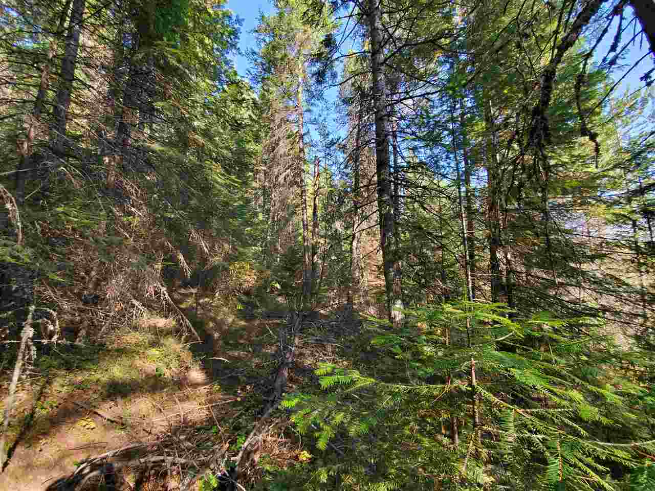 38-xx Spring Valley Road Newport, WA 99156 - Photo 20 of 28 Gallery Image 20