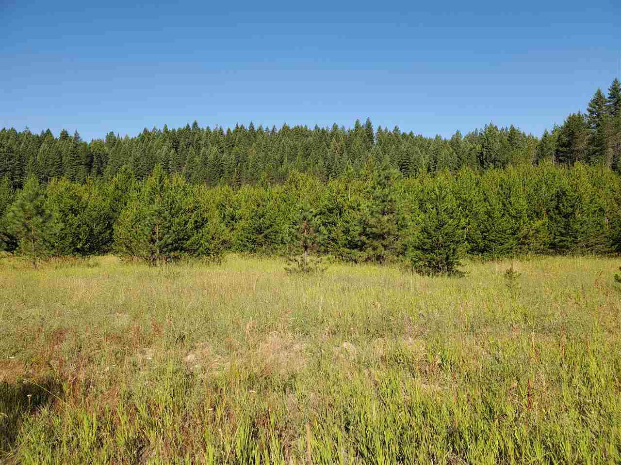 38-xx Spring Valley Road Newport, WA 99156 - Photo 3 of 28 Gallery Image 3
