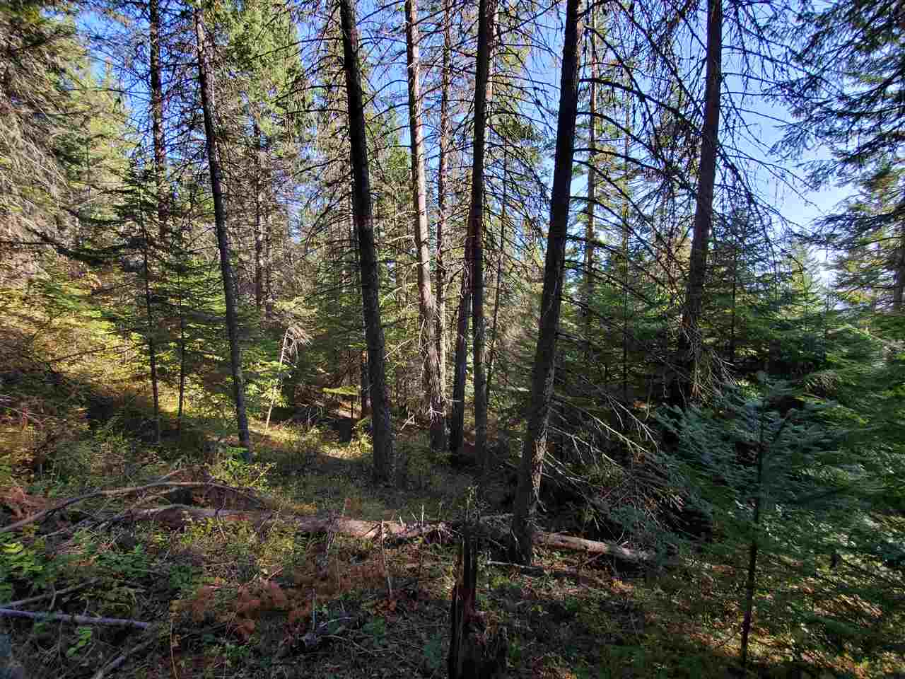 38-xx Spring Valley Road Newport, WA 99156 - Photo 24 of 28 Gallery Image 24
