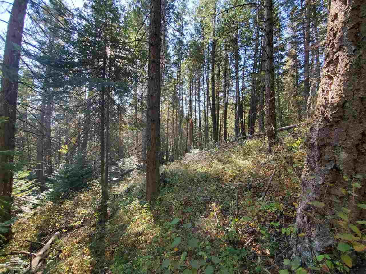 38-xx Spring Valley Road Newport, WA 99156 - Photo 25 of 28 Gallery Image 25