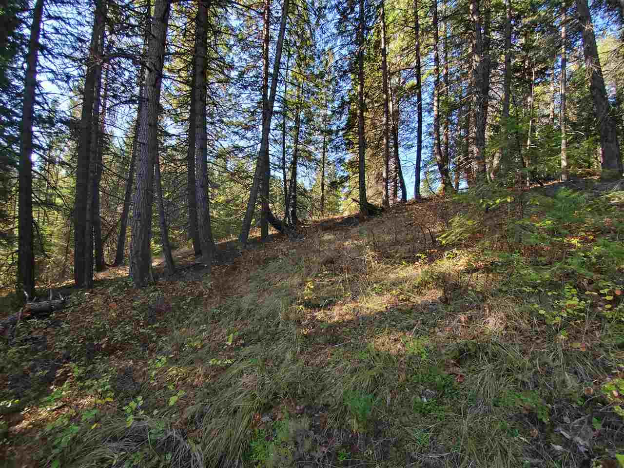 38-xx Spring Valley Road Newport, WA 99156 - Photo 26 of 28 Gallery Image 26