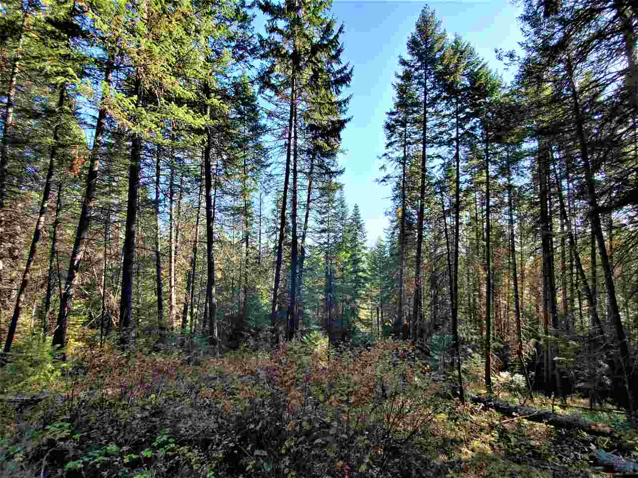 38-xx Spring Valley Road Newport, WA 99156 - Photo 27 of 28 Gallery Image 27