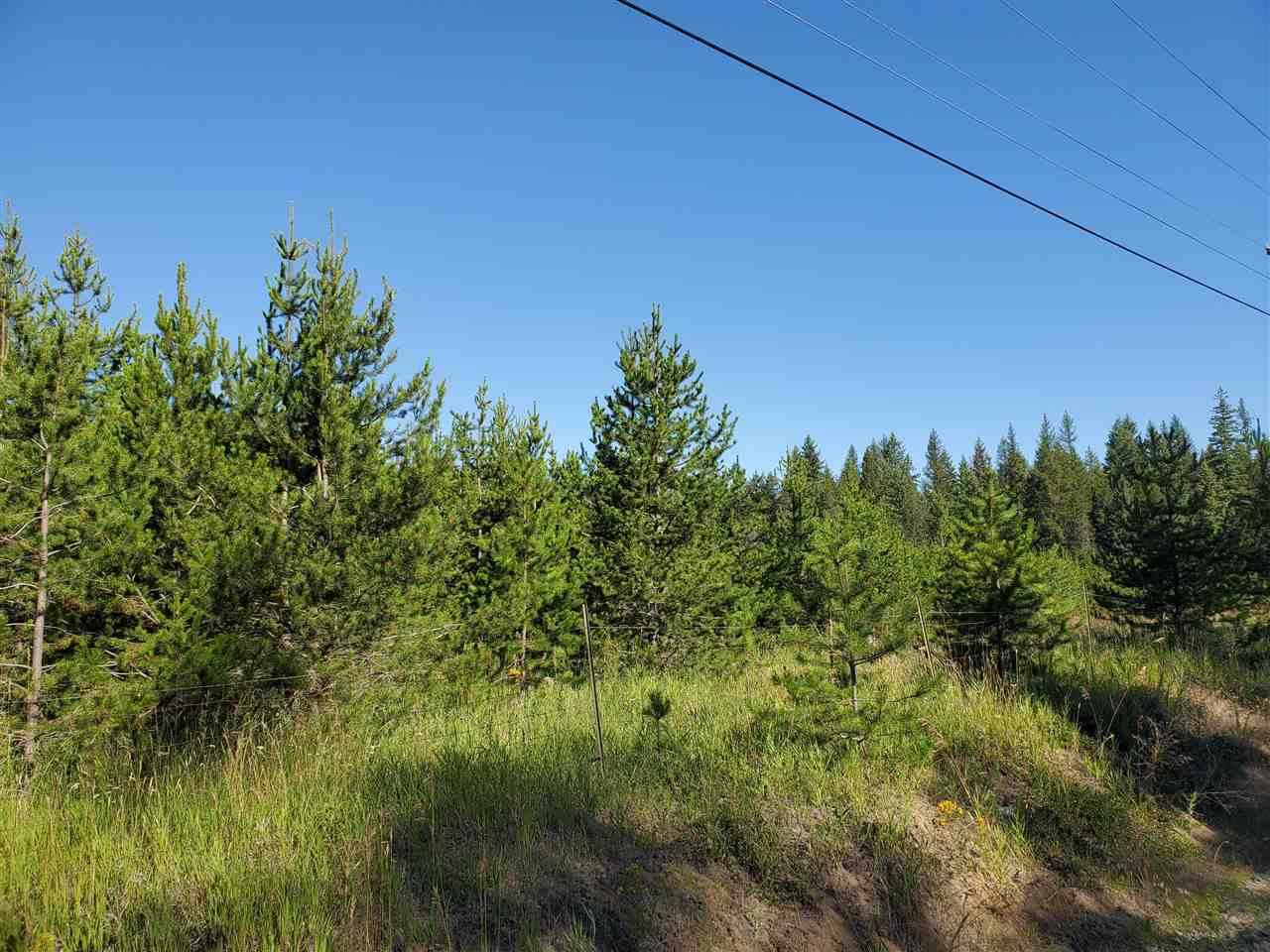 38-xx Spring Valley Road Newport, WA 99156 - Photo 5 of 28 Gallery Image 5