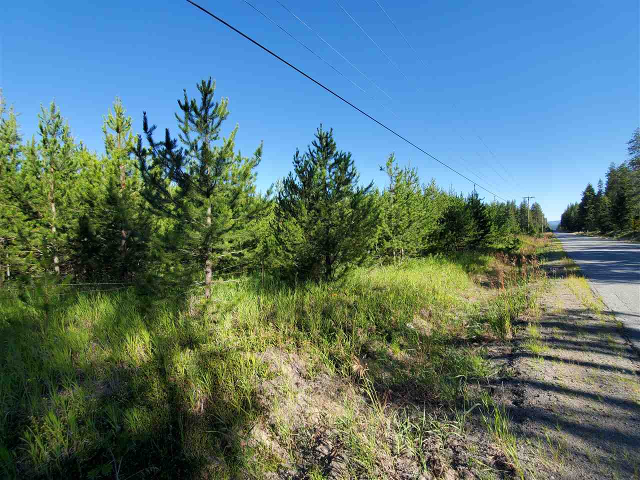 38-xx Spring Valley Road Newport, WA 99156 - Photo 6 of 28 Gallery Image 6