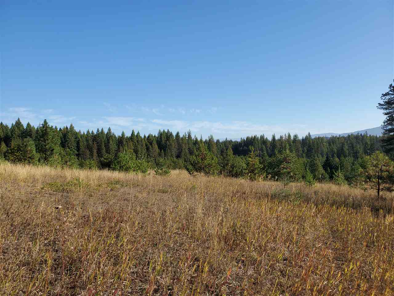 38-xx Spring Valley Road Newport, WA 99156 - Photo 9 of 28 Gallery Image 9