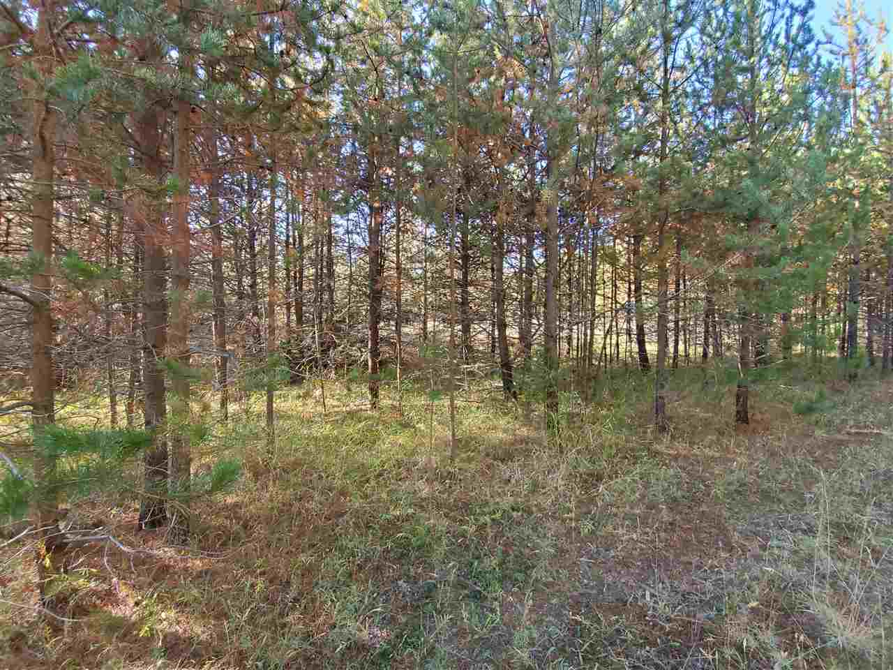 38-xx Spring Valley Road Newport, WA 99156 - Photo 10 of 28 Gallery Image 10