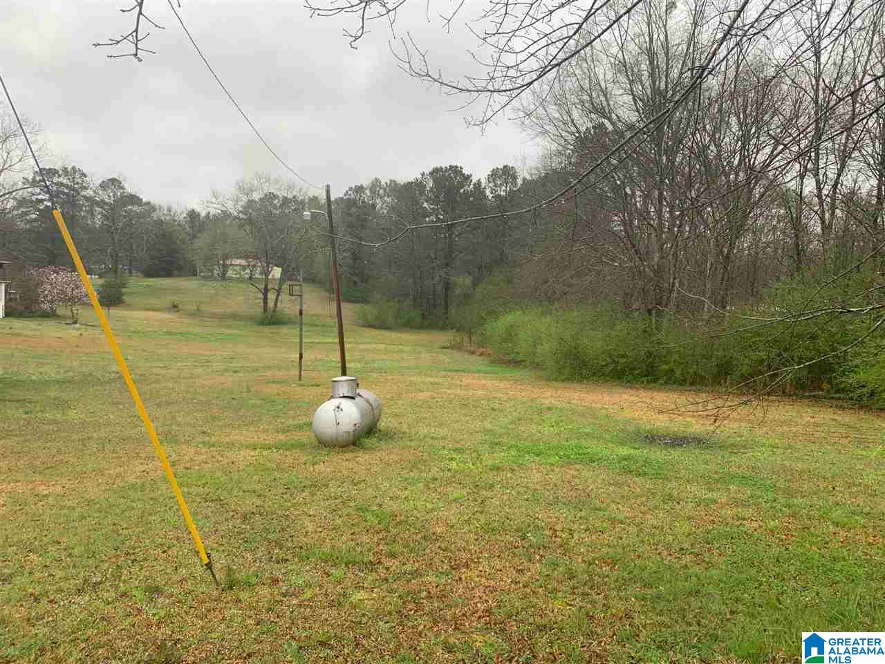 52809 Highway 25 Vandiver, AL 35176 - Photo 6 of 19